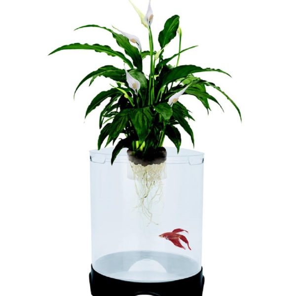 Aquaponic Planter and Aquarium for Betta Fish | Tank Promotes Healthy Hydroponic Environment for Plants and Fish