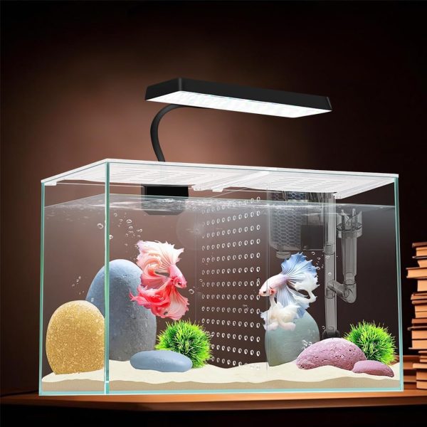3 Gallon 12.6" L Fish Nano Glass Aquarium, with Separator Plate for Betta, Multi-Functional Square Fish Tank with Filter, LED Light, White 4mm Glass