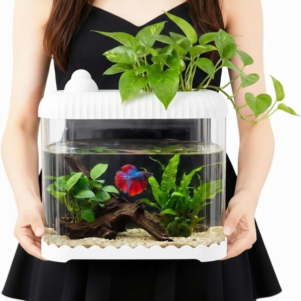 White 2.5 Gallon Plastic Aquaponic Betta Fish Tank Large Bowl Shatterproof Small Ecosystem Aquarium with Secure Buckle Lid, Clear Clarity for Terrarium, Flower Vase Betta Fish Tabletop Gifts