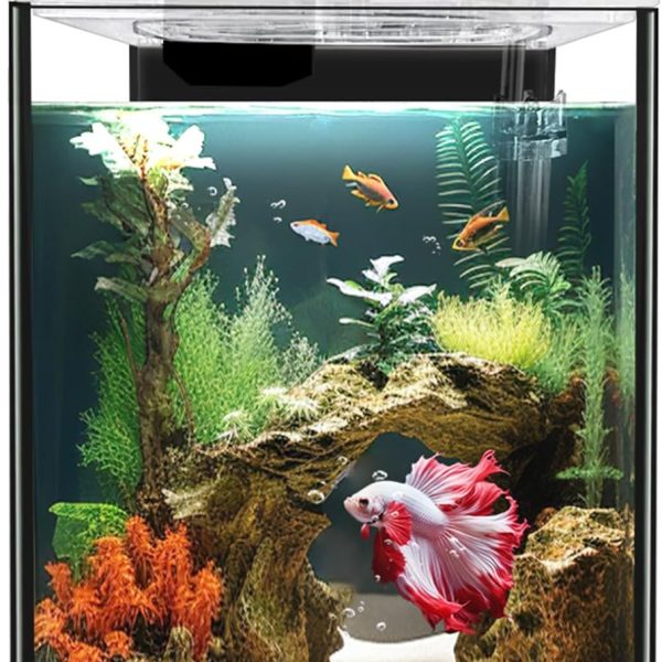 Glass Betta Aquarium Starter Kits 1.5 Gallon Small Fish Tank, Betta Fish Tank with LED Light, Power Filter, Black. 4mm Glass
