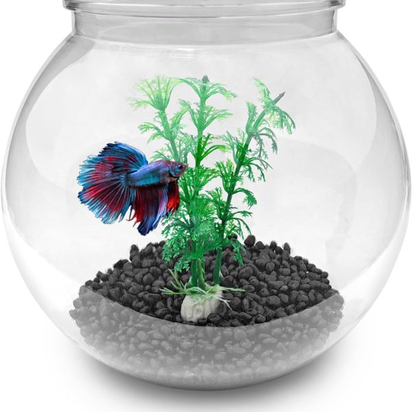Mini Plastic Aquarium Fish Bowls (0.8Gallon / 3L)