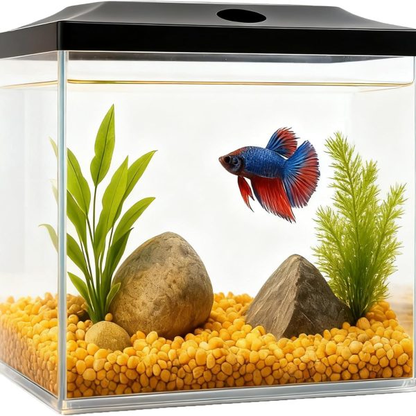 0.8-Gallon Cube Fish Bowl, Shatterproof Plastic Fish Bowl with LED Lighting, Temporary Fish Tank for Isolation, Decoration & Education