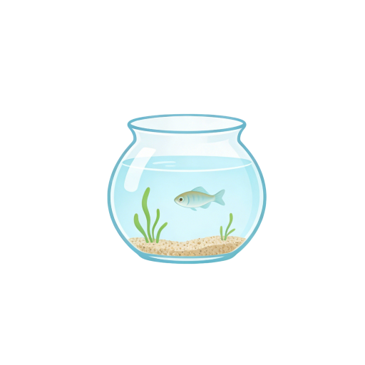 A Small Fish Tank, A Big Source of Healing